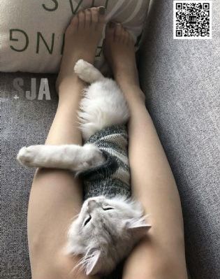 日韩精品久久久免费观看夜色_超清高清免费观看